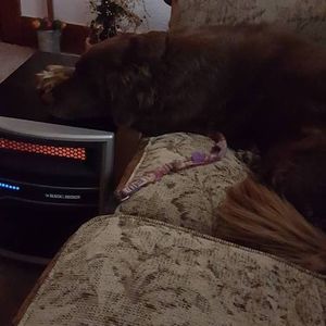 Meet your Posher, Susan